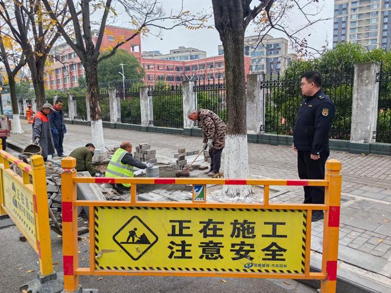 美丽乡村建设：新时代乡村发展的新蓝图